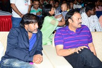Celebrities at Julayi Audio Launch